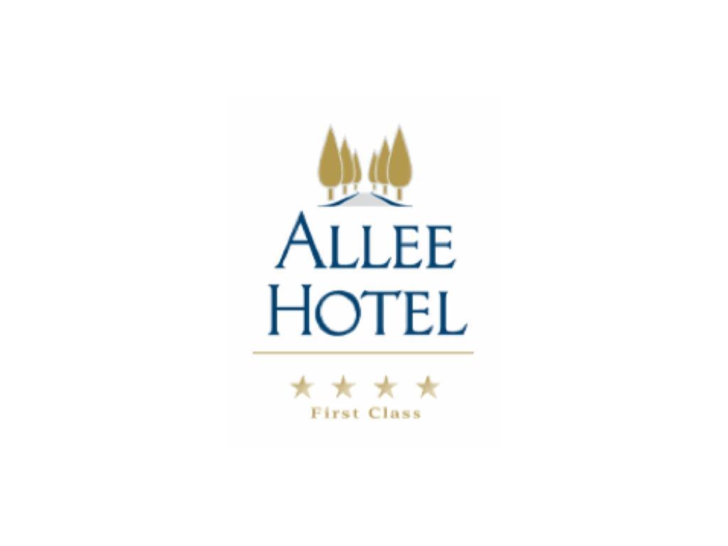 Allee Hotel Neustadt an der Aisch Exterior photo